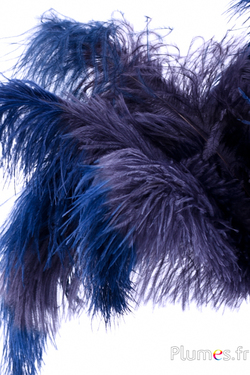 Autruche - 30-40 cm - anthracite-bleu nuit